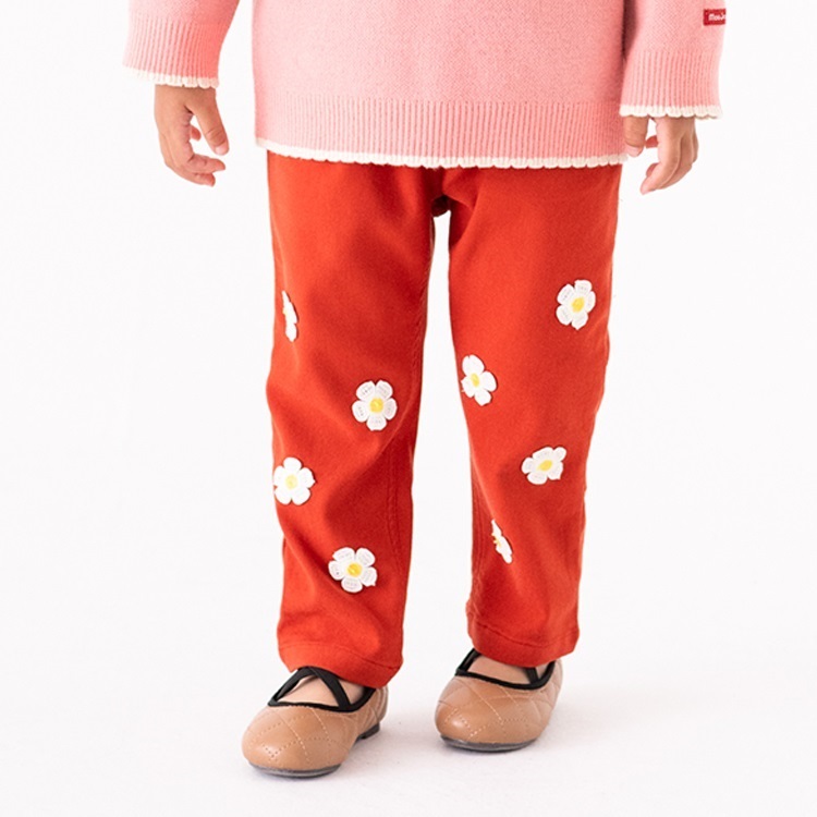 アプリコット 140cm の画像