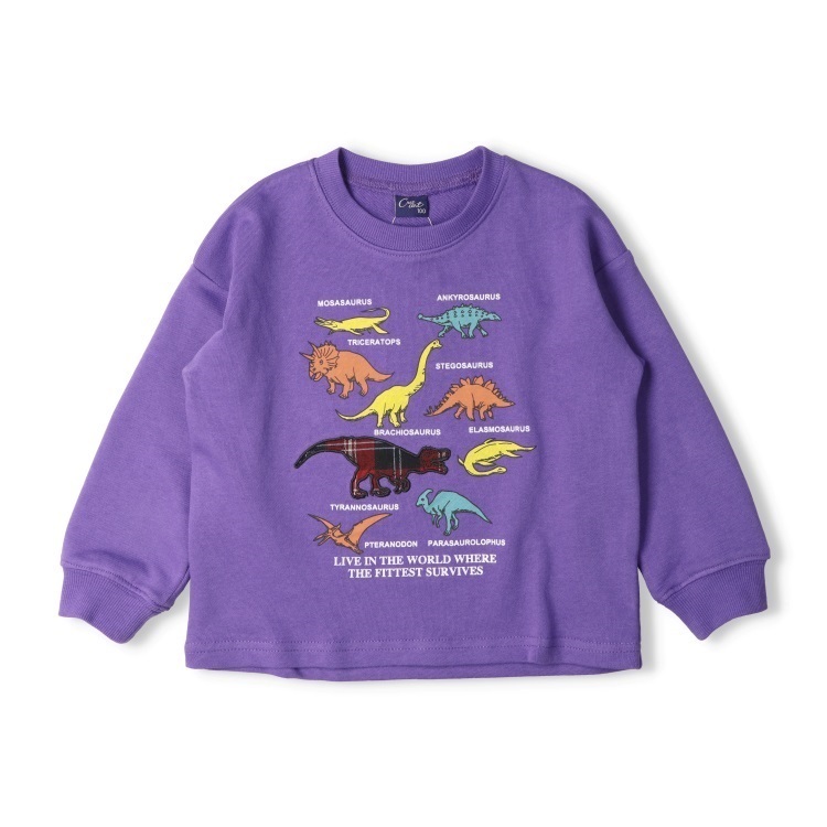 パープル 90cm の画像