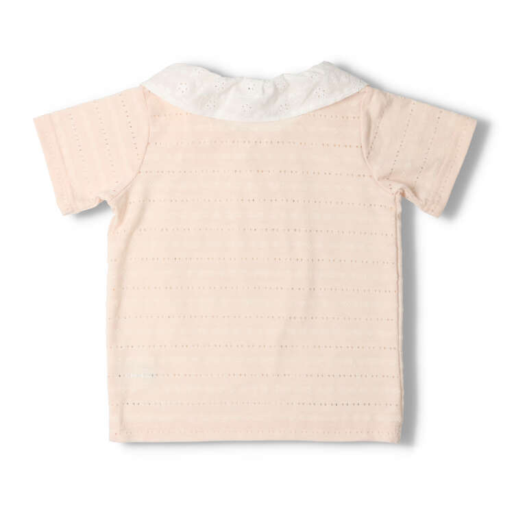 Lace collar plain short-sleeved T-shirt