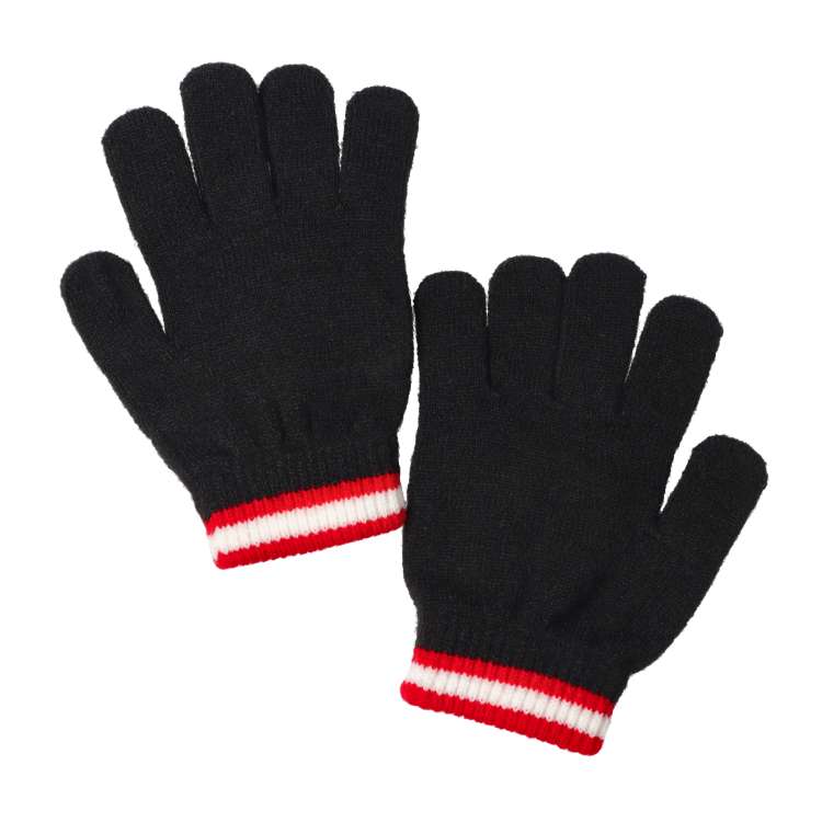 *JR Shinkansen train pattern gloves