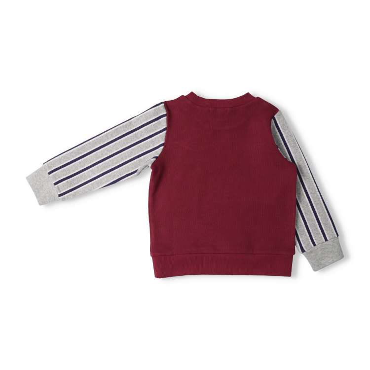 Striped sleeve change sweatshirt