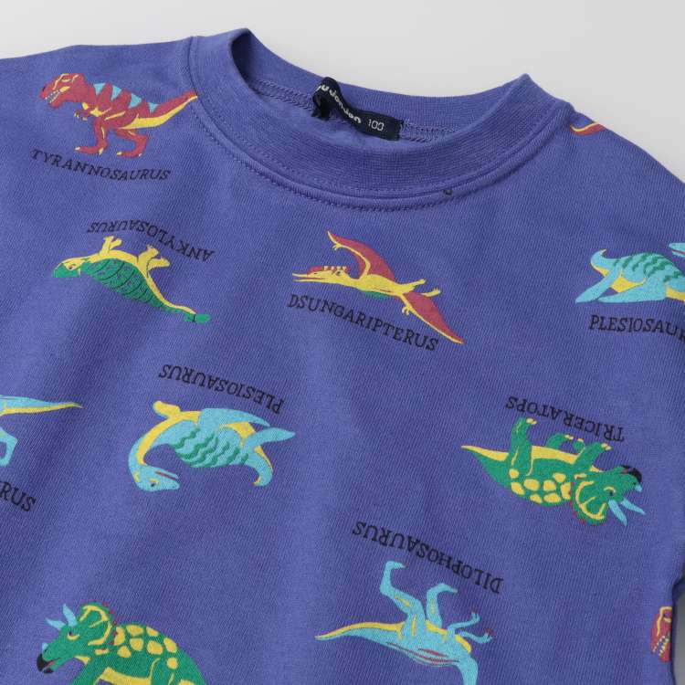 Dinosaur print long sleeve T-shirt