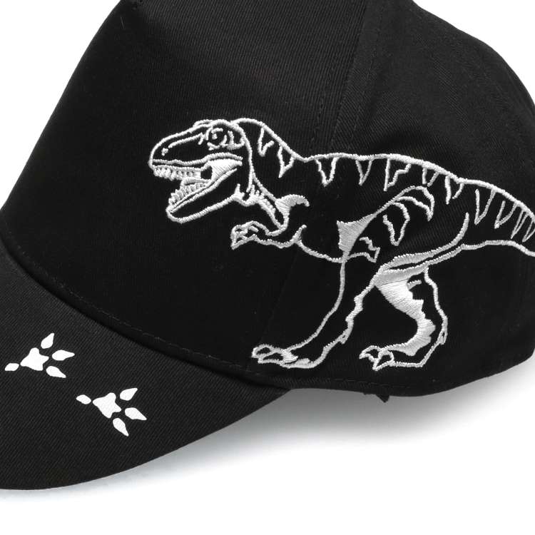 Twill cap/hat with dinosaur embroidery