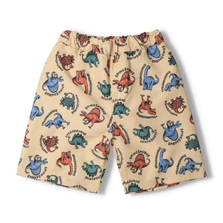 Dinosaur Pattern Swim Pants/Swimwear