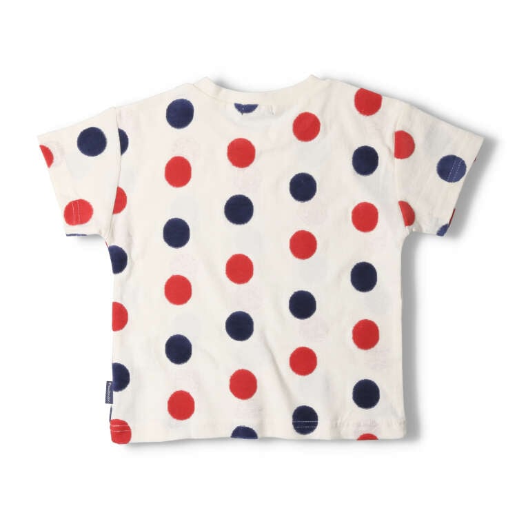 Polka dot jacquard short sleeve T-shirt