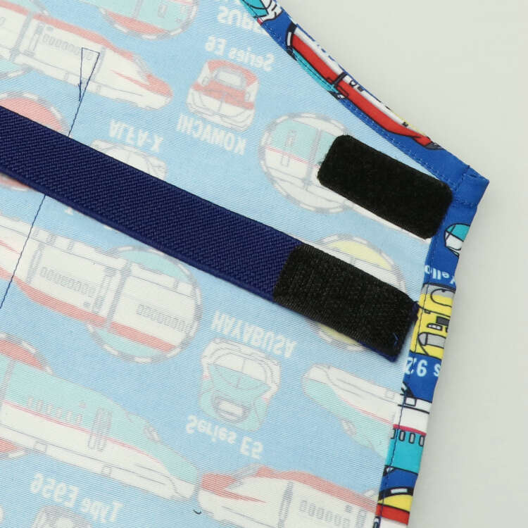JR Shinkansen train pattern apron