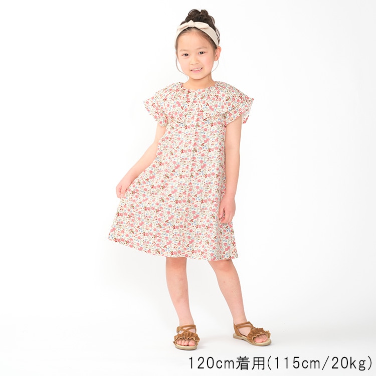 Collared small floral print dress