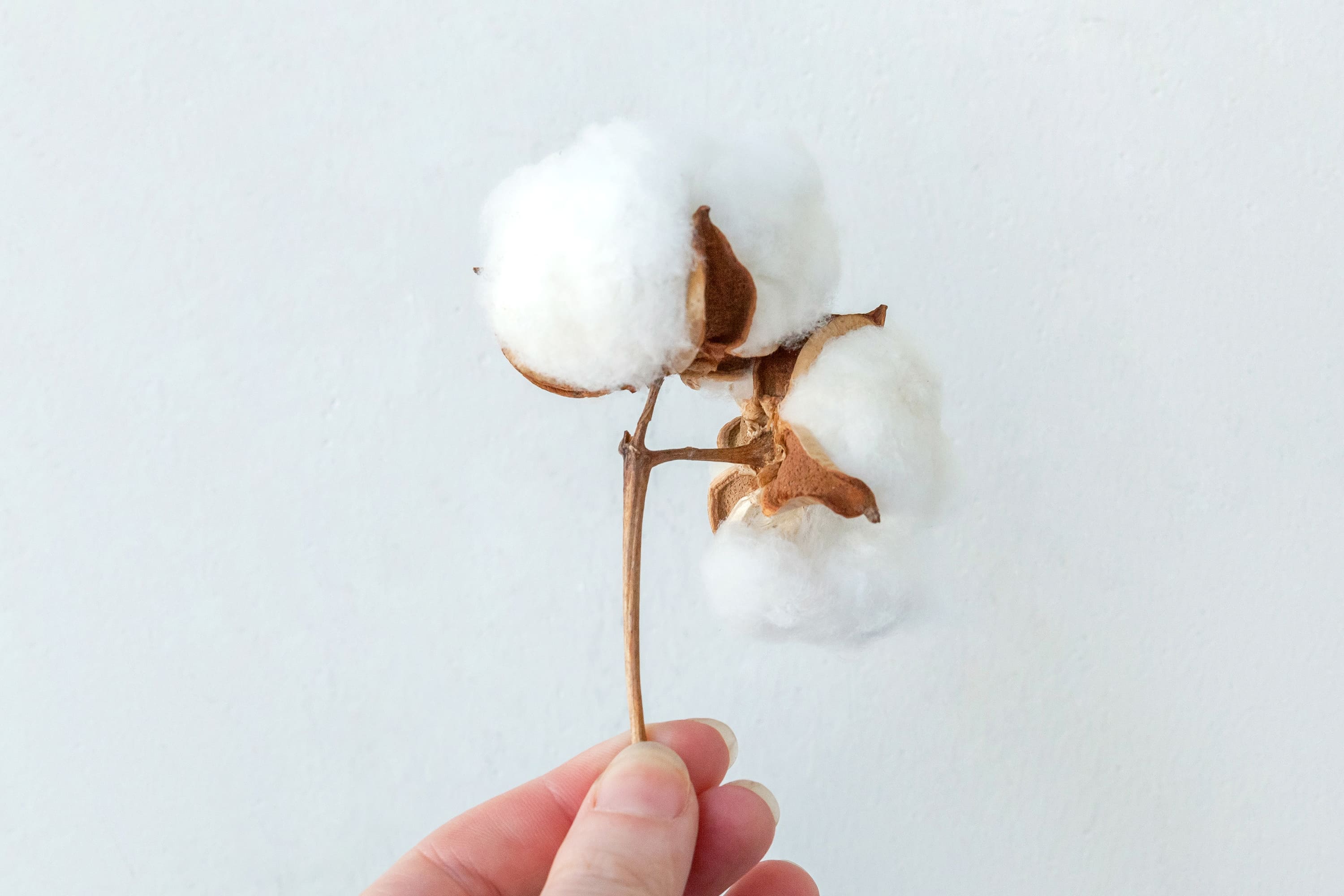 スーピマコットンとは？スーピマコットンとは最高級ランクの上質綿で、産地はアメリカの一部の州のみ。世界の綿の生産量の1%にも満たず希少性の高い綿です。この綿で織られた生地は、しなやかでやわらかく、滑らかな肌触りが一番の特徴です。